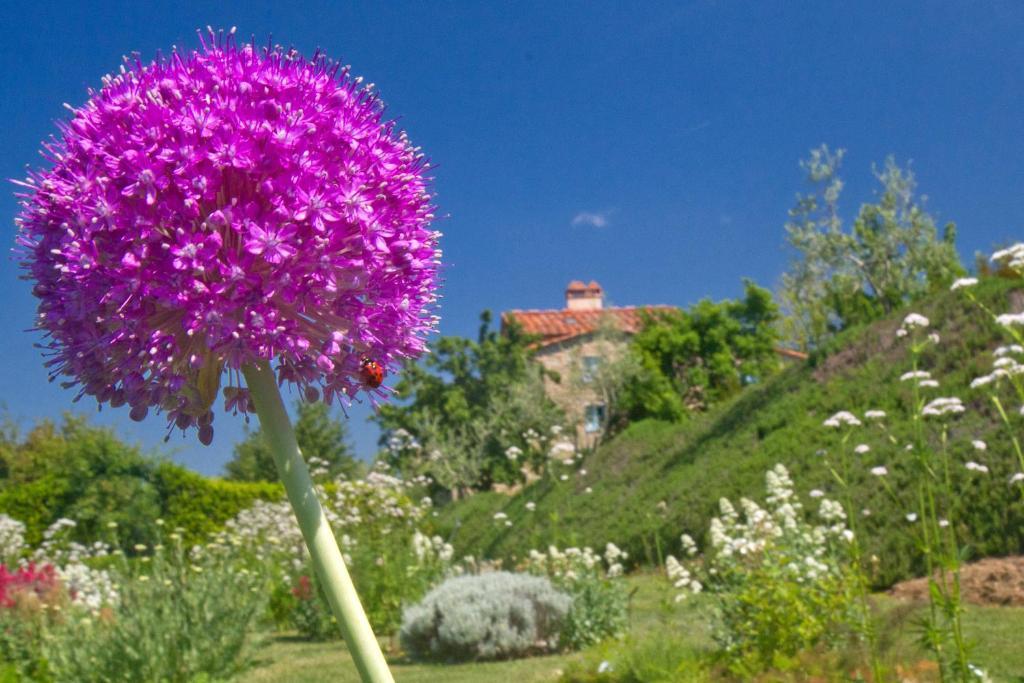 Odina Agriturismo Loro Ciuffenna Dış mekan fotoğraf